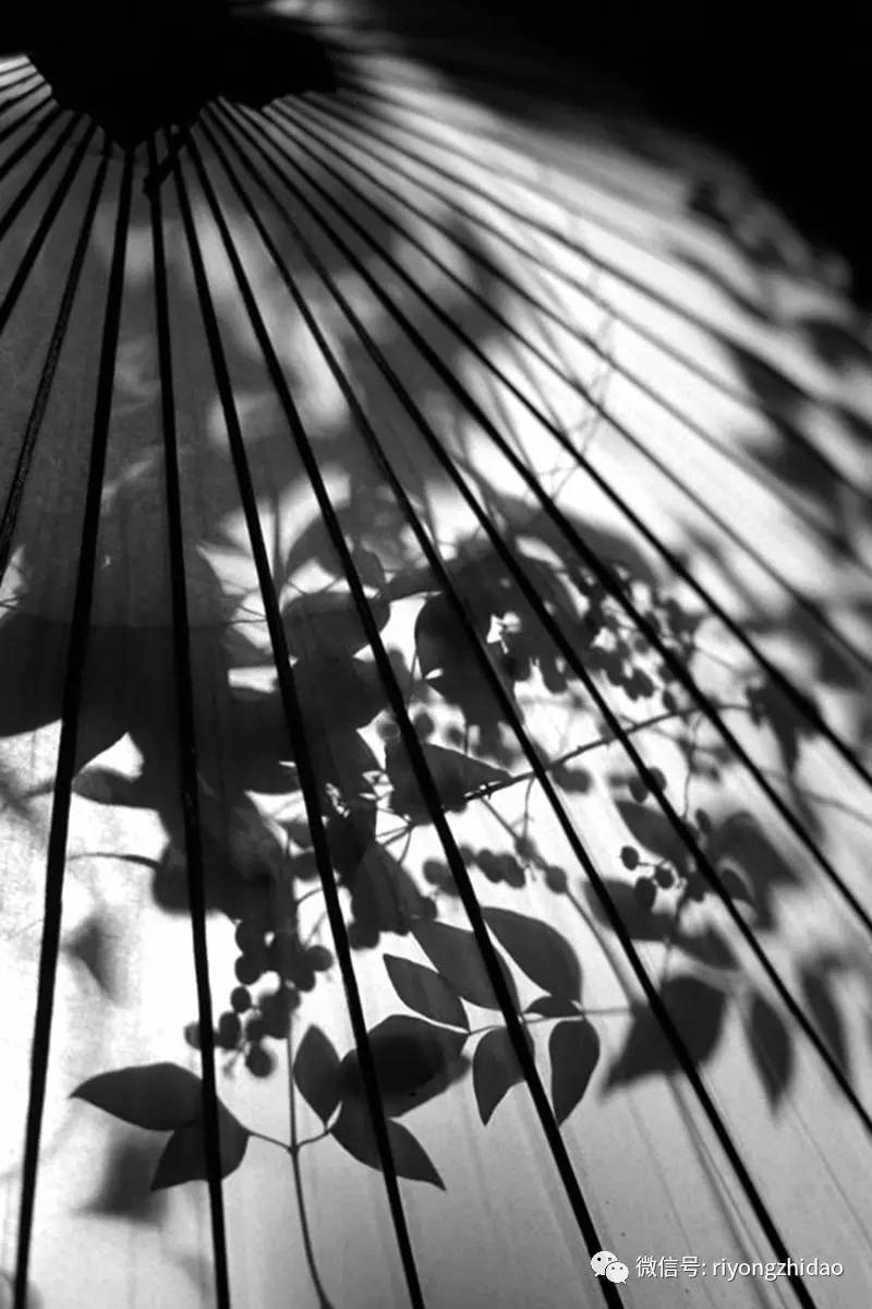 折叠创意小清新雨伞居家日用遮阳,格子晴雨伞居家日用雨伞