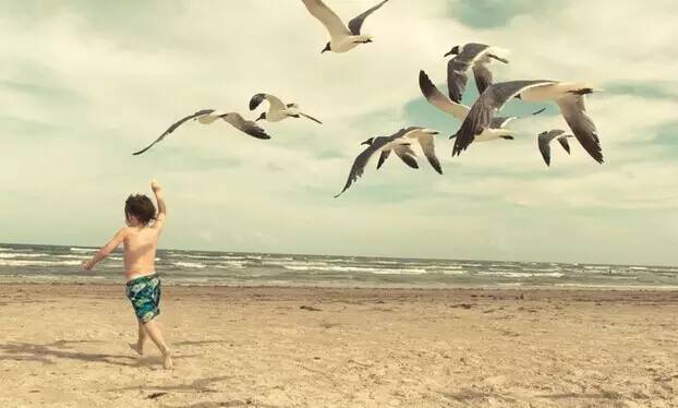 夏季爆款十大产品,夏天爆款必备100款