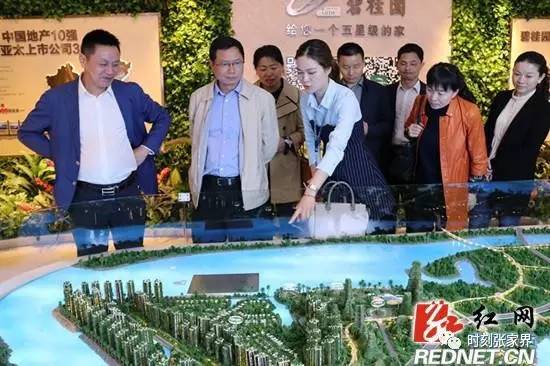 热点旅游项目,湖南省重点旅游招商项目