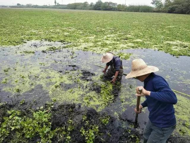 今日开发区最新消息,图说今日开发区