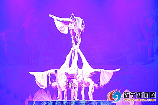 遂宁杂技现场直播,遂宁杂技团