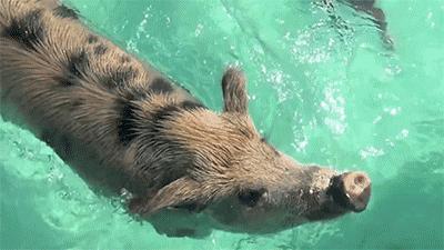 比马尔代夫便宜的小众海岛,马尔代夫免签好去处