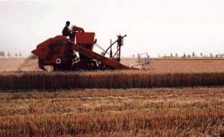 干活累的关节疼用什么外用药,干活保护手指关节