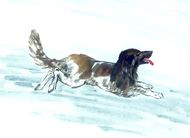 明年犯太岁四大生肖以及运势,今年犯太岁五个生肖分别注意什么