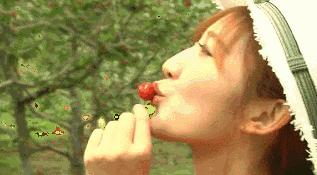 洛阳新安县樱桃采摘园,洛阳樱桃沟摘樱桃