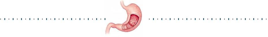 调理胃炎中药方,调理胃炎的药膳