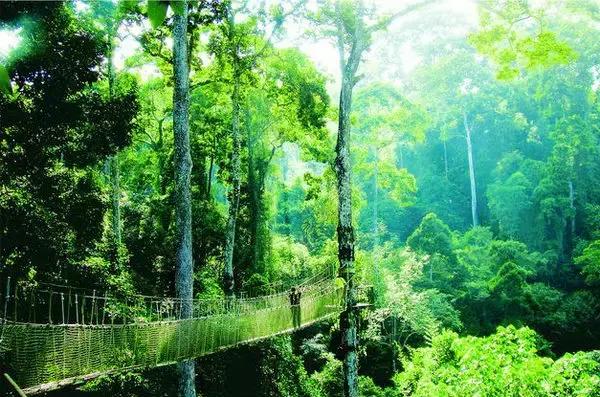 景洪泼水节注意事项,西双版纳泼水节如何不被泼