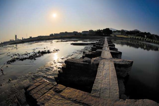 游子归莆仙戏曲,游子归来诗词