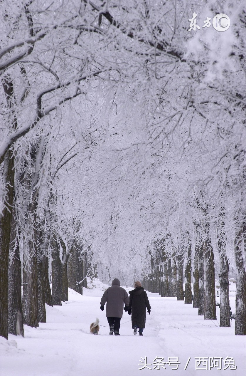 12星座怎么哄孩子,十二星座哄孩子方式