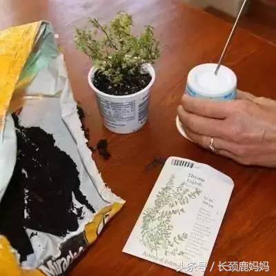 食物盒罐手工制作大全,怎样做一个简单又好看的储存罐