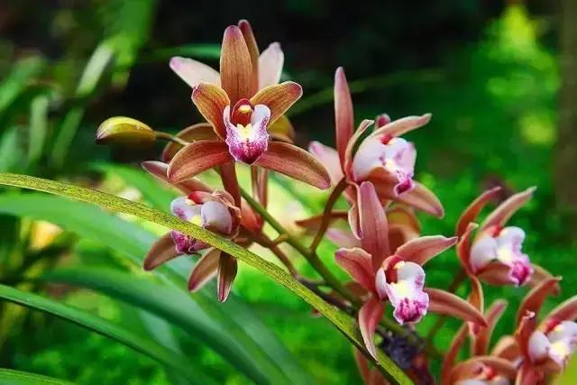 去过100次越秀公园，却不知旁边有个秘密花园！美爆了！