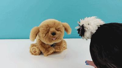 最实用的十款玩具推荐,送女儿的玩具推荐