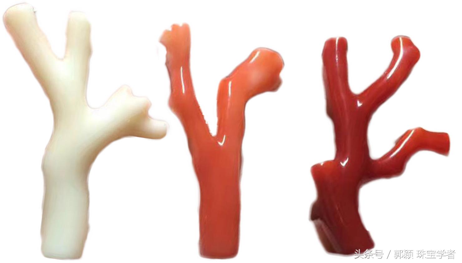 阿卡牛血红珊瑚自己戴可以吗,顶级阿卡牛血红珊瑚是哪个产地