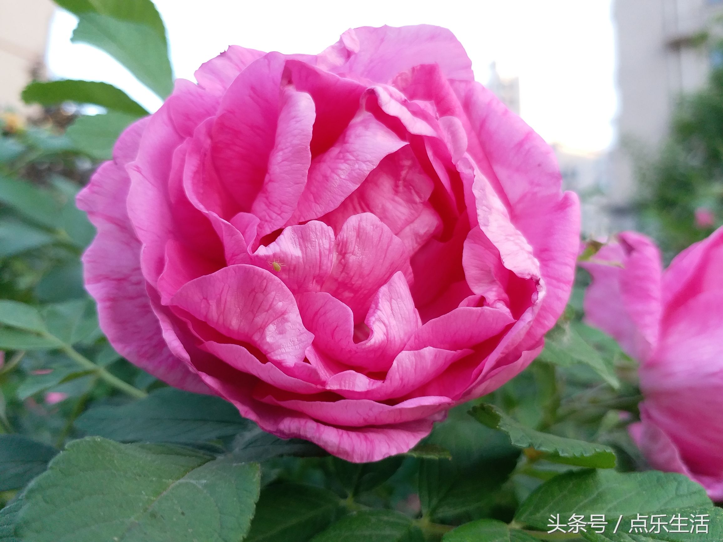 快活一时苦难一世,人活一世历经沧桑