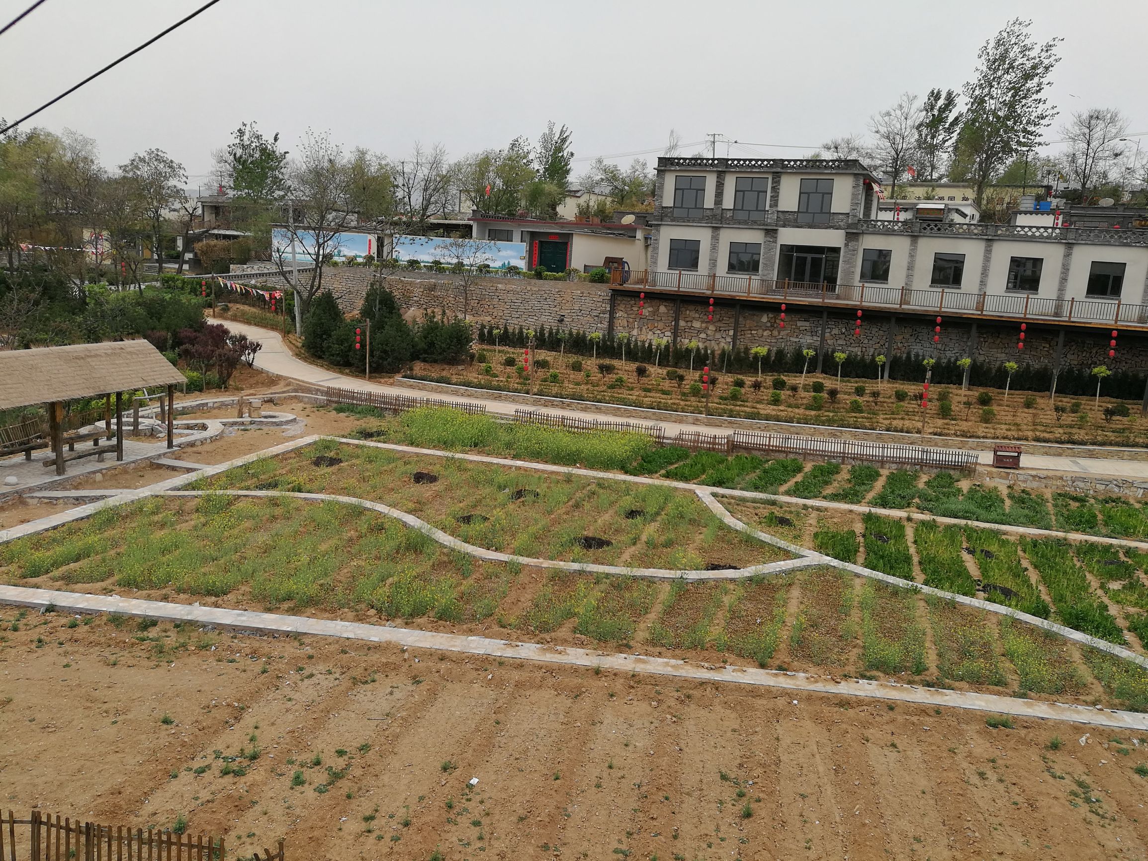 扫雪，捉麻雀，玩着玩着就老了，80后的北方人你们还好吗？