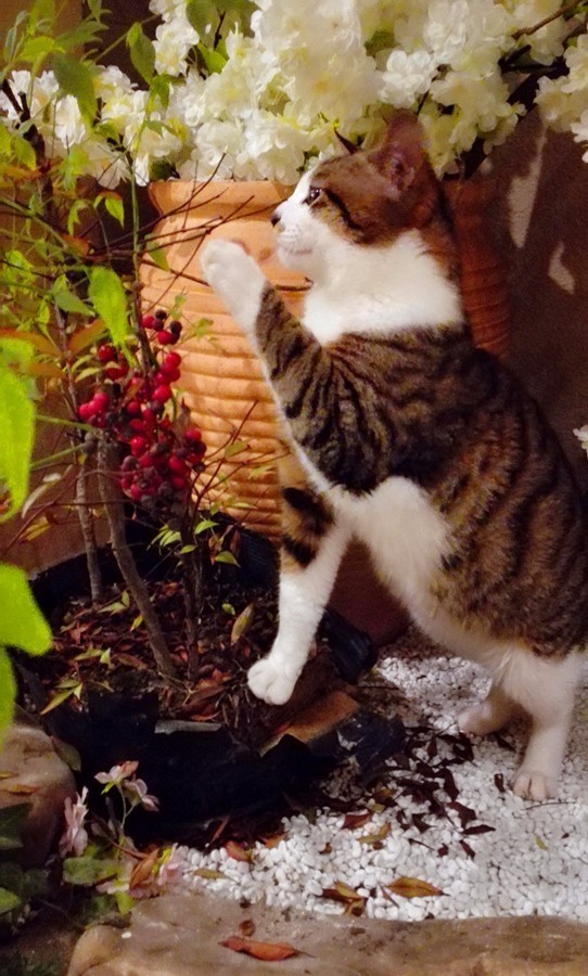 元宝山下,山水云间,悠悠闲云时光,恰好那时我也在