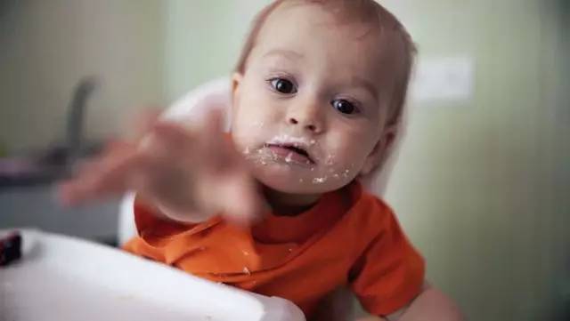 真正的野生三文鱼,我国野生三文鱼