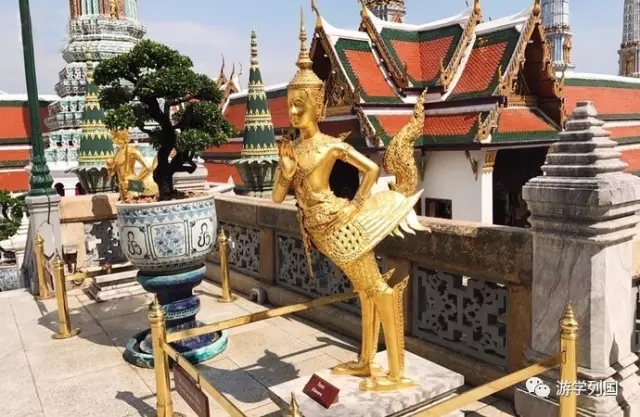 泰国旅行不一样的泰国风情,2024泰国游学之旅