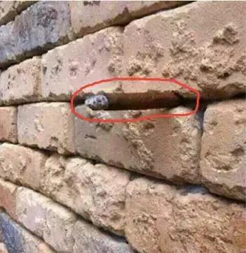 详情页评估,详情页检测报告可以用吗