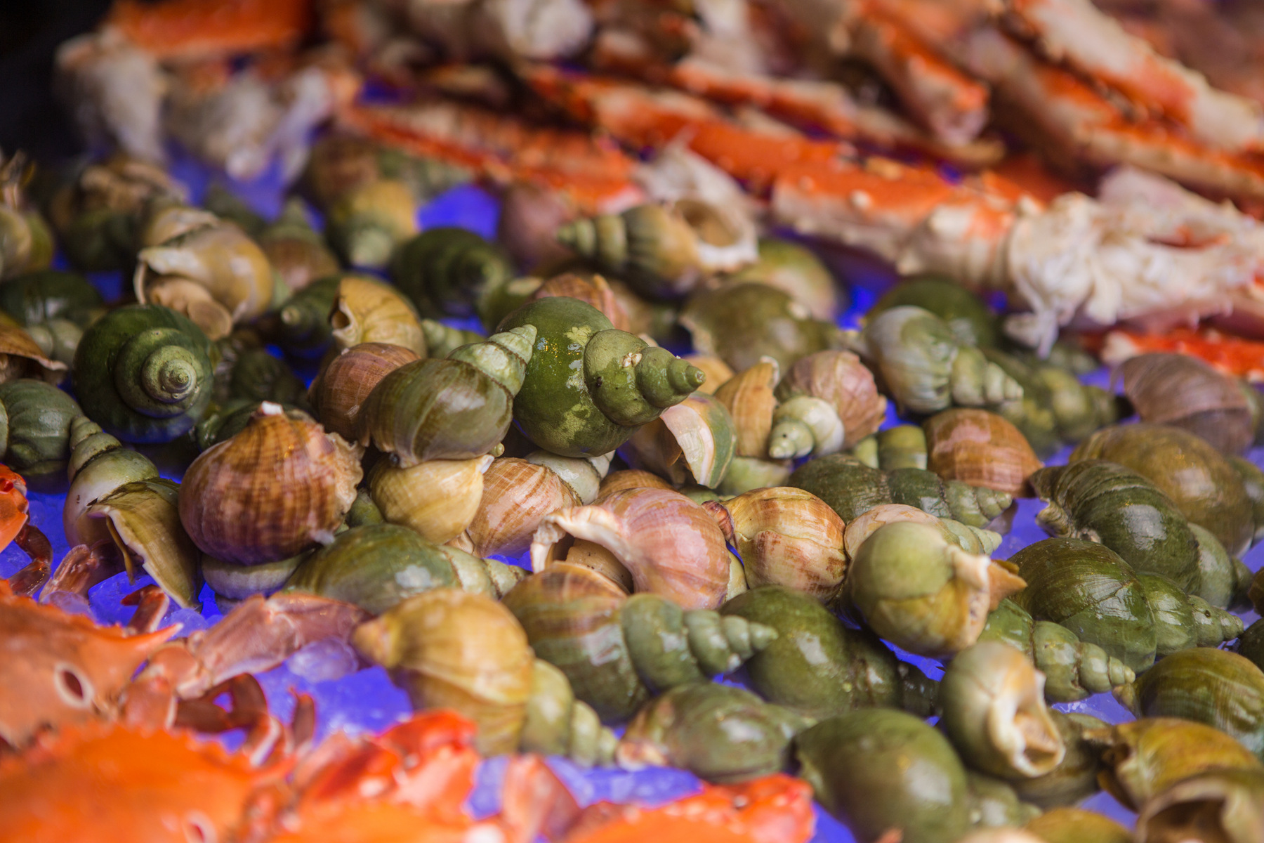 去三亚玩的旅游攻略,错峰去三亚