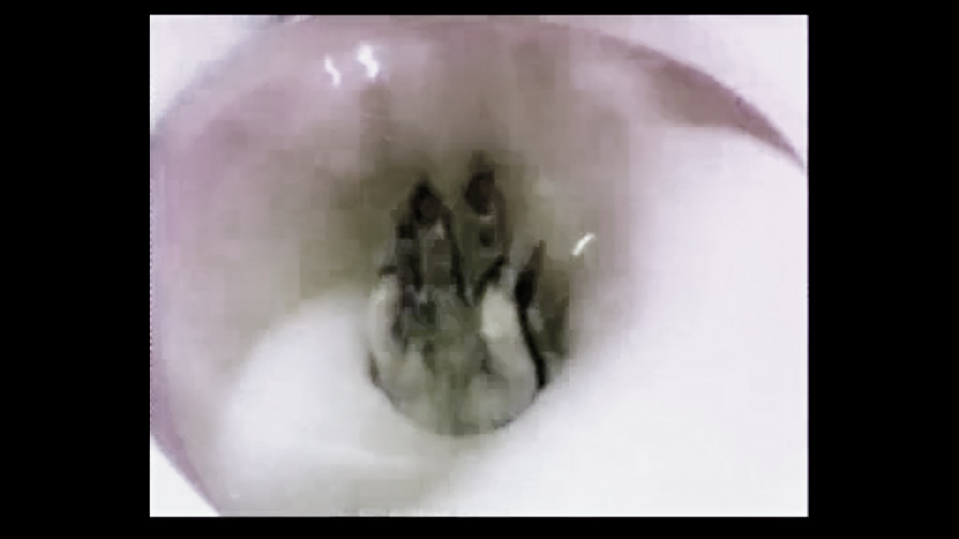 这部鬼片堪称国产版《驱魔人》,恐怖堪比《山村老尸》却鲜为人知