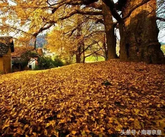 清远连州十大最好玩的景点,连州古城古村风景