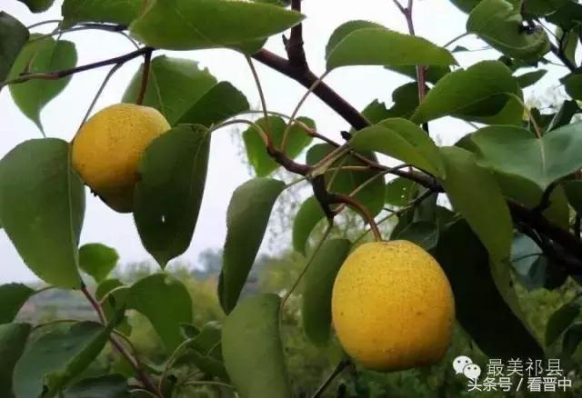 祁县三个村,祁县所有村名单