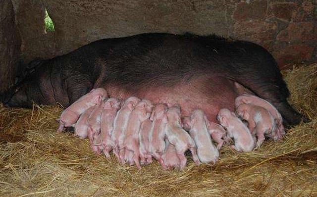 该哭还是应该笑,该哭还是该笑呢