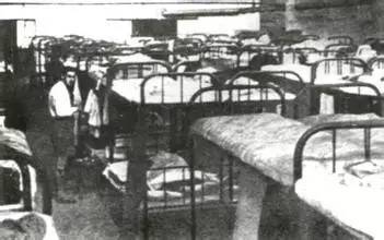 二战时犹太人为什么前往以色列 (以色列二战中的犹太人)