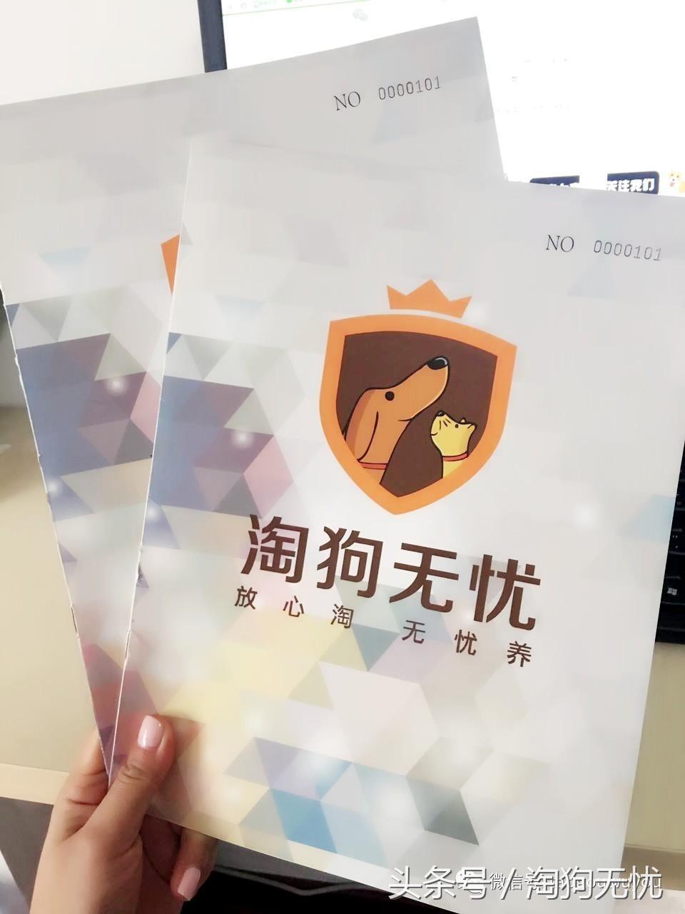 狗狗出售成本多少,狗狗卖出去注意事项