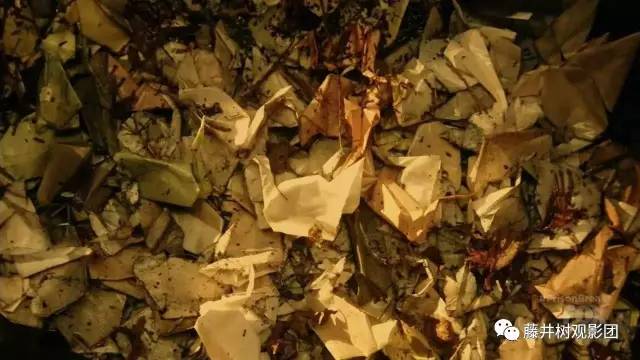 越狱十年后的米帅现状,米帅越狱最新视频