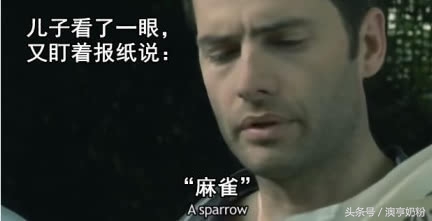 爸爸的小本本,父亲的小本本