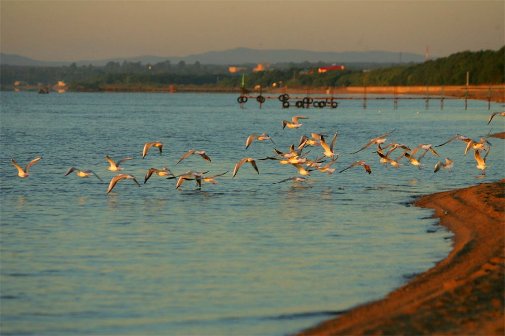 中国四大湖为什么没有青海湖,中国第二大湖相当于青海哪里