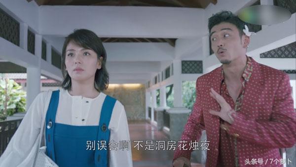 小包总求投靠求收留,欢乐颂小包总求投靠第几集