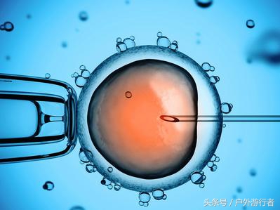 试管宝妈成功案例讲解,试管婴儿宝妈的经历