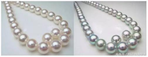 海水珍珠都是akoya珍珠吗,日本珍珠akoya是海水珍珠吗