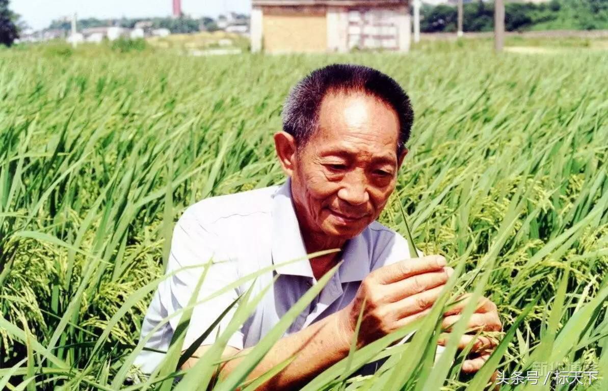 中国有四大发明第五大发明是什么,这项发明堪称中国第五大发明