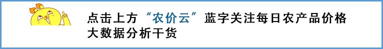 2017年9月巨峰葡萄批发价格现在,全国批发市场巨峰葡萄多少钱一斤