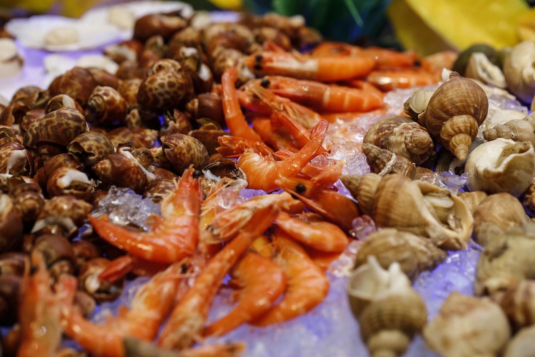 这样的休闲度假方式也很不错