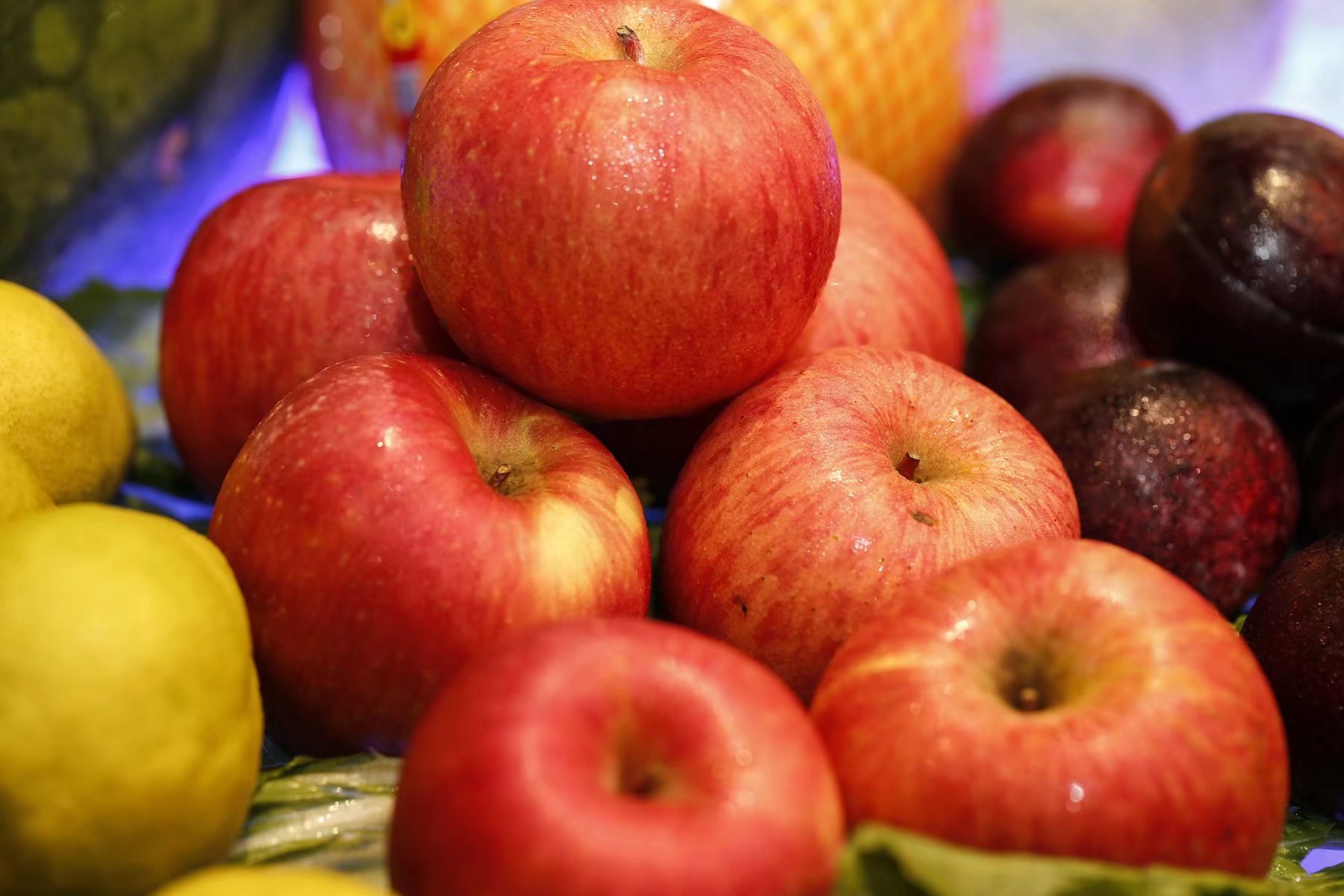 这样的休闲度假方式也很不错