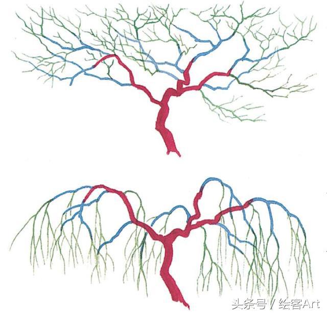 从一片树叶到一片树林,大树的树干画法步骤