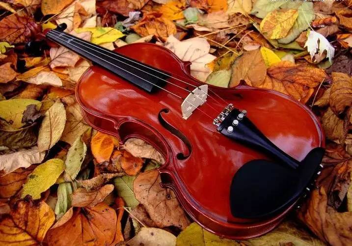 几百万的小提琴和几千块的小提琴,几百几千上万的小提琴