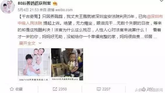 卖鸟被判10年的是什么鸟,养鹦鹉被判刑的案例