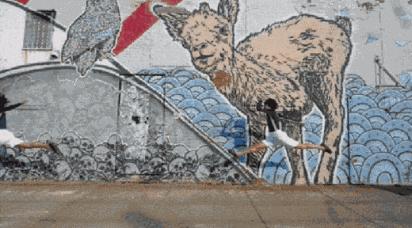 宠事儿：比空巢更可怕的，是虚伪的爱