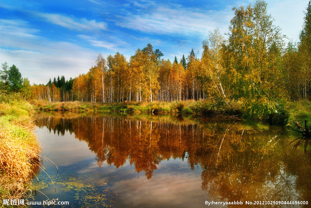 濂囨閽╂矇灏忚,濂囨閽╂矇鐪熷疄鏁呬簨