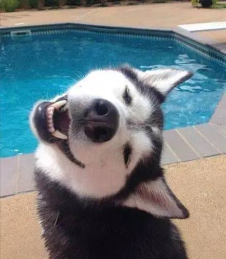 如果你的女朋友太漂亮怎么办,女朋友特别粘人晚上睡觉还要抱着