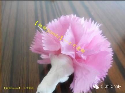 母亲节礼物手工康乃馨用卫生纸折,母亲节的康乃馨怎么做视频