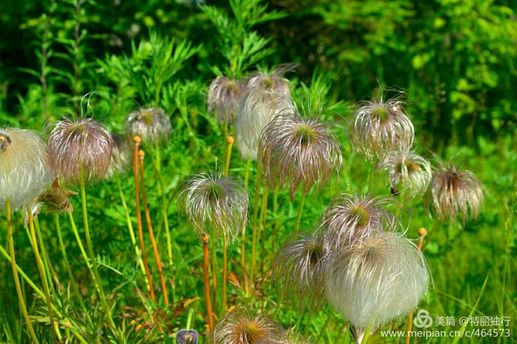 走过四季夏天最美,走过春夏美丽的秋冬