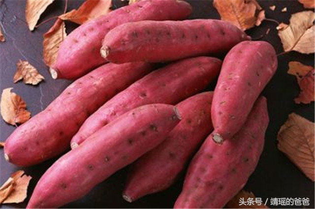 胃癌患者必吃的十种食物,胃癌吃什么新鲜蔬菜或水果最好