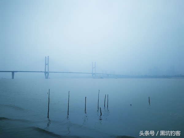 夏天垂钓鱼种什么最好养,夏季野钓鱼的变化有哪些